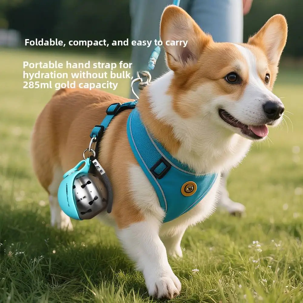 Portable Foldable Leak Proof Dog Water Bottle